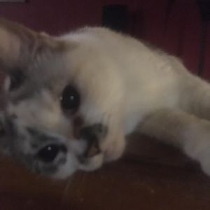 Meet your Posher, Debbie